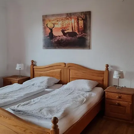 Grosszuegiges Mit Infrarotkabine In Chalet